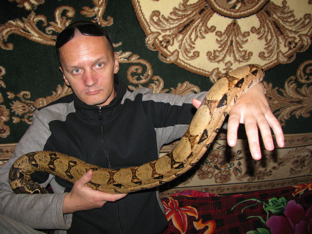  14827499  Andrey, 49 ,    Al Ghardaqah