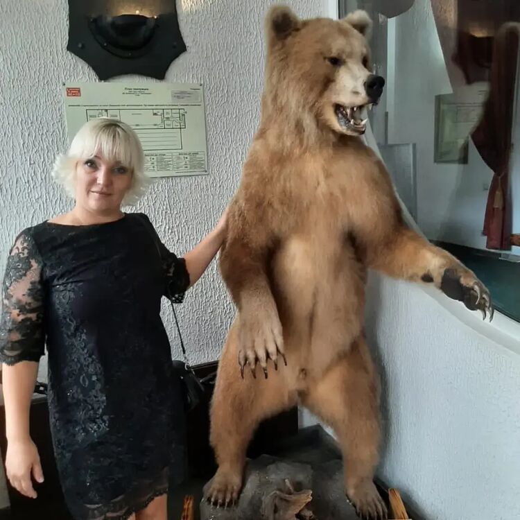 ���������� ��������, ���� ������� ��������, 40 ���, ������������ 