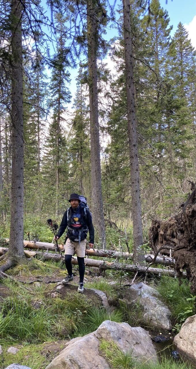 ���������� ������, ���� ������� ������, 36 ���, ������������ ��� ������, ����� � ���������, c�������� ���������, ���������