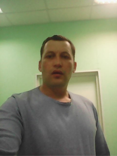  ,   Rys, 44 ,   