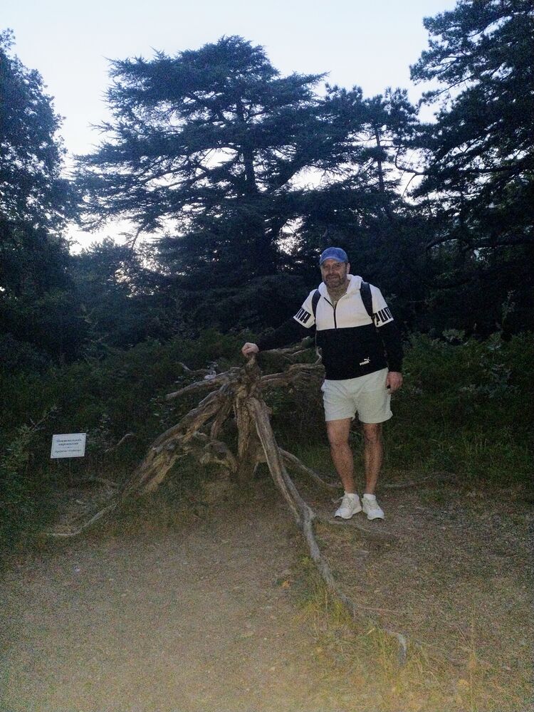 ���� 24777039 ������� ����, 45 ���, ���� ���������� � ���������