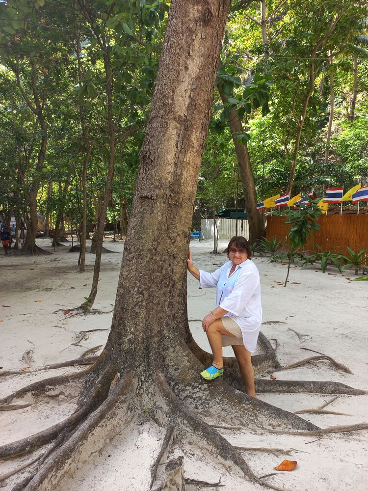 ���������� ���������, ���� ������� ��������, 70 ���, ������������ ��� ������, ����� � ���������