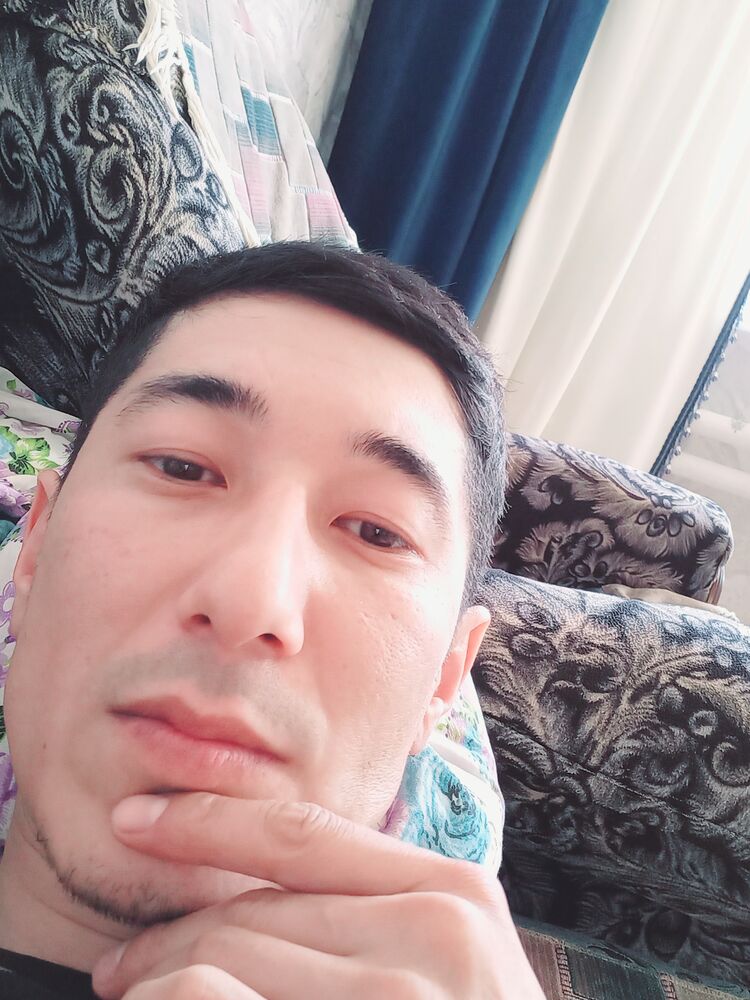  44230039  , 33 ,    