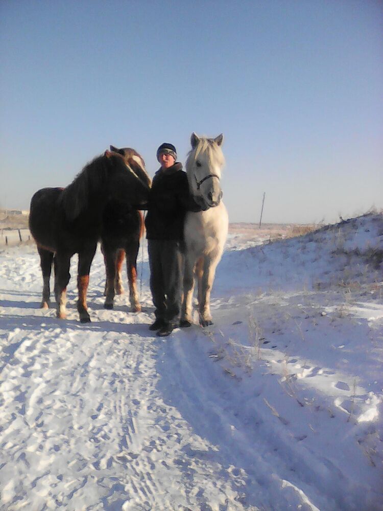 ���� 23286369 ������� ��������, 43 ����, ���� ���������� � ����