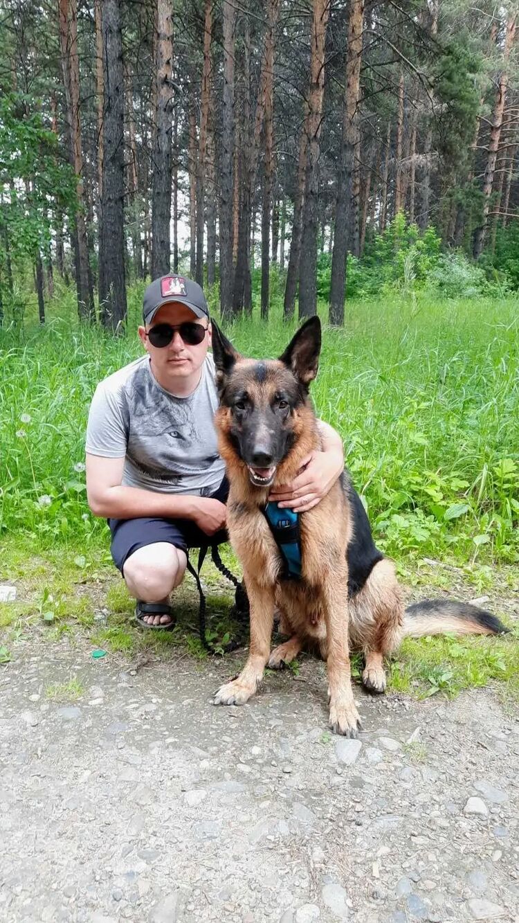 ���� 53537529 ������� ����, 34 ����, ���� ���������� � ��������