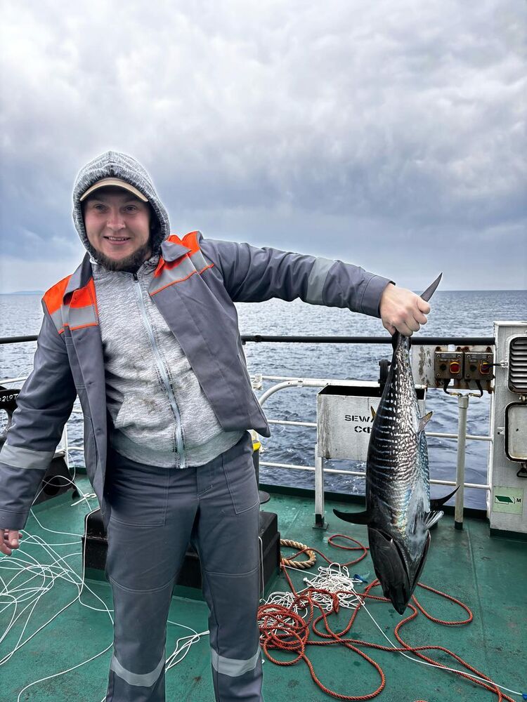 ���� 53211529 ����� �������, 25 ���, ���� ���������� � �����