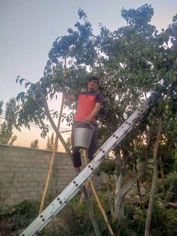  ,   , 24 ,   ,   
