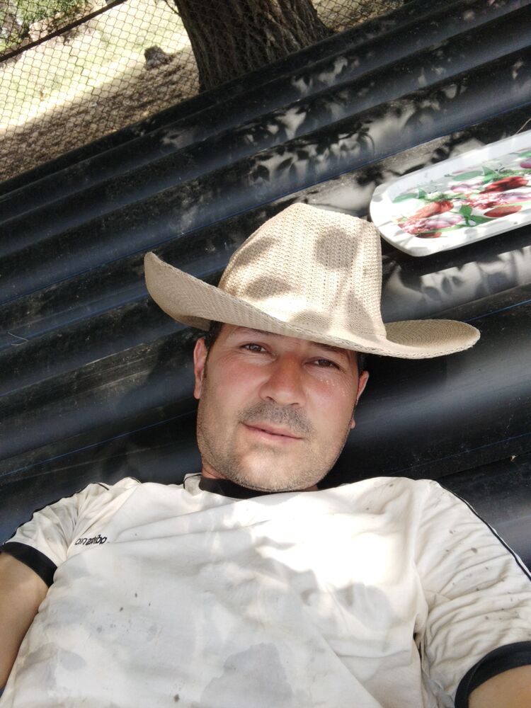 ���������� �������, ���� ������� ��������, 37 ���, ������������ ��� ������, ����� � ���������