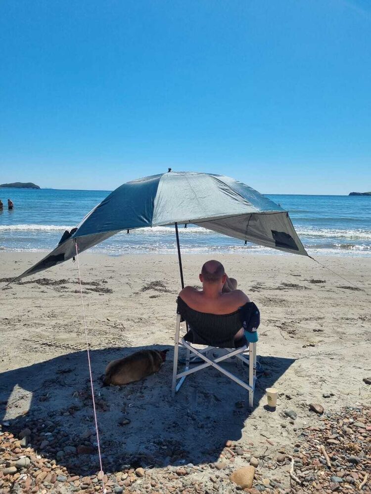 ���������� �����������, ���� ������� ����, 39 ���, ������������ ��� ������, c�������� ���������