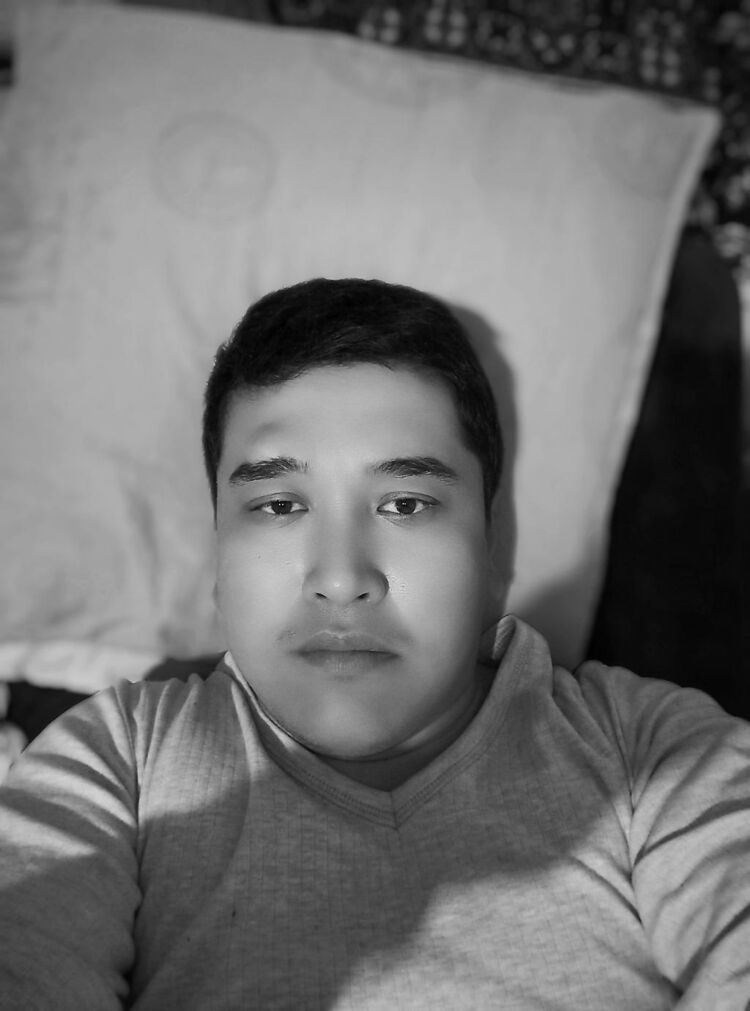 ���� 31113619 ������� ������, 32 ����, ���� ���������� � �����-����������