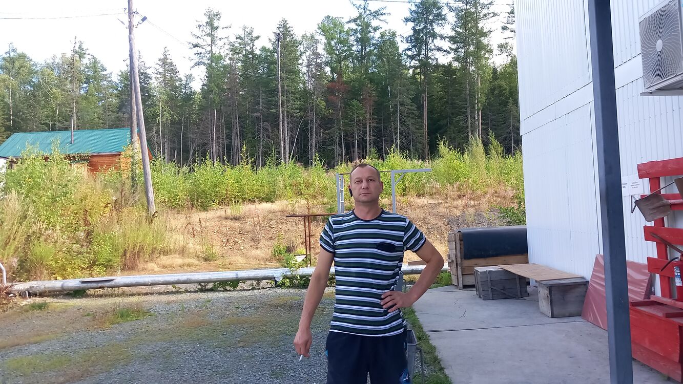 ���� 56086699 ������� �������, 50 ���, ���� ���������� � ��������