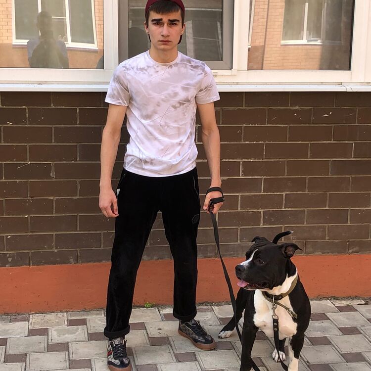 ���� 24428919 ����� ����, 22 ����, ���� ���������� � ����������