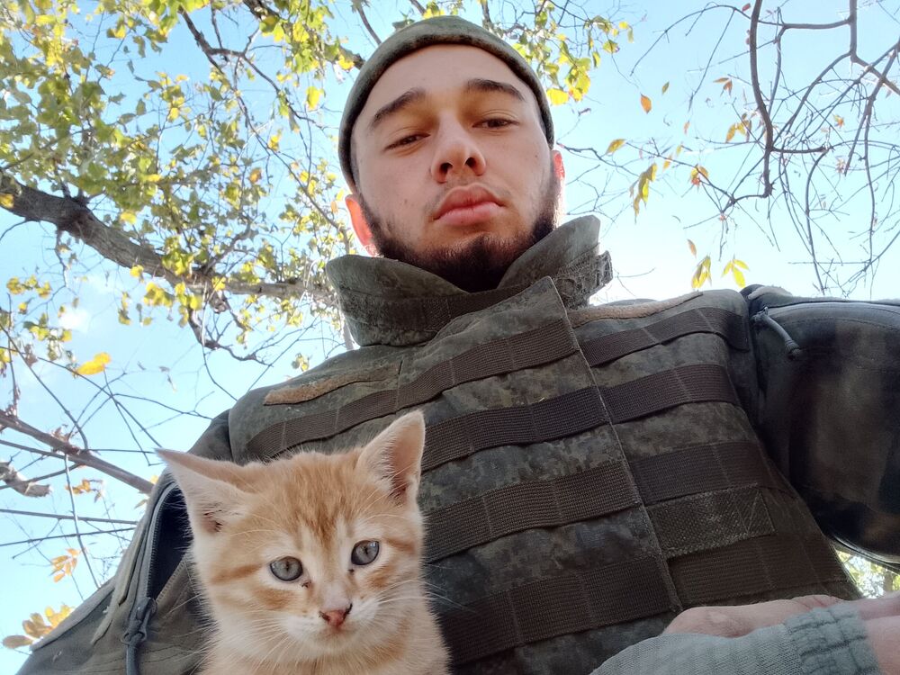 ���������� �������, ���� ����� ����, 23 ����, ������������ ��� ������, ����� � ���������, c�������� ���������