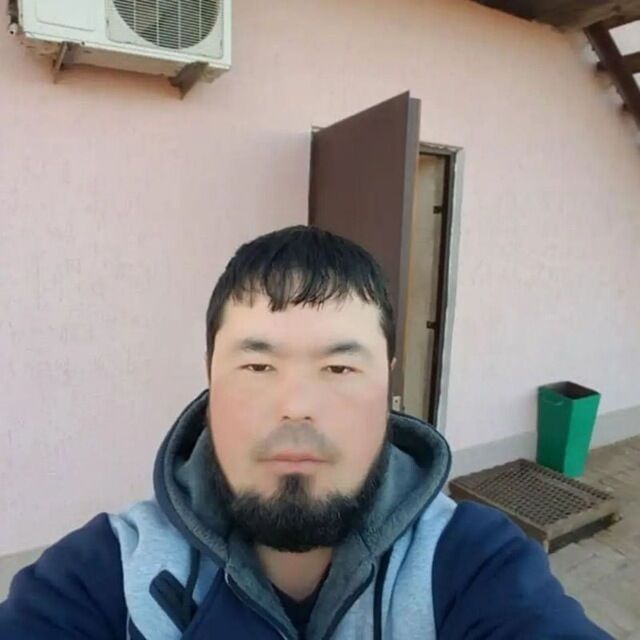 ���� 55161599 ������� ������, 33 ����, ���� ���������� � ���������