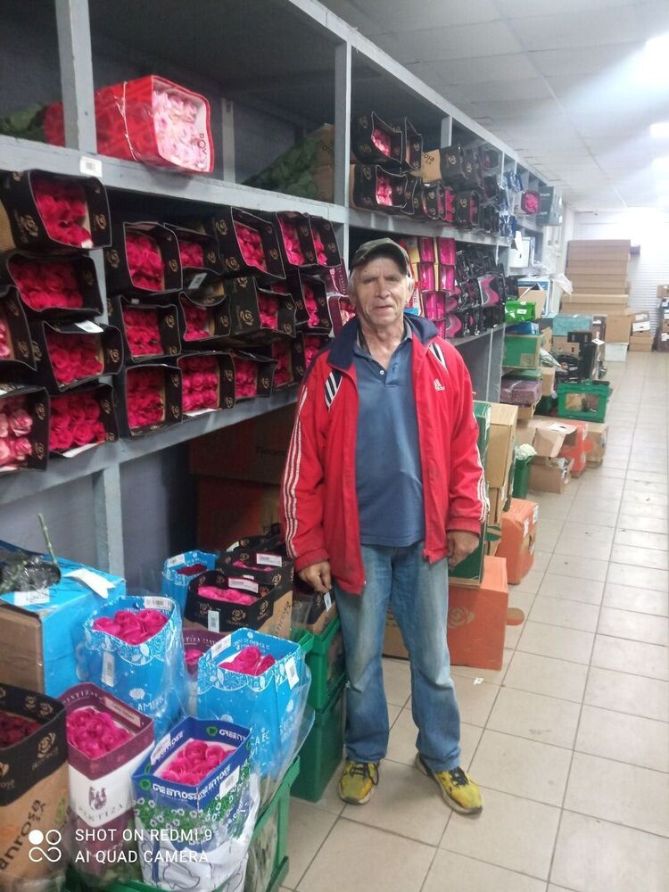  52977929  Oleg, 61 ,    