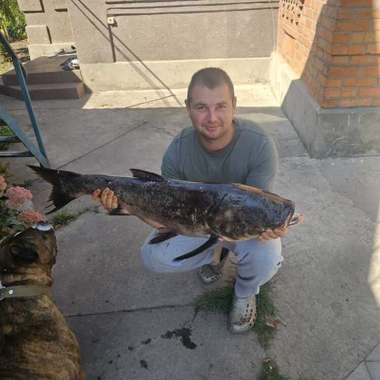 ���� 55548279 ������� �����, 26 ���, ���� ���������� � �������