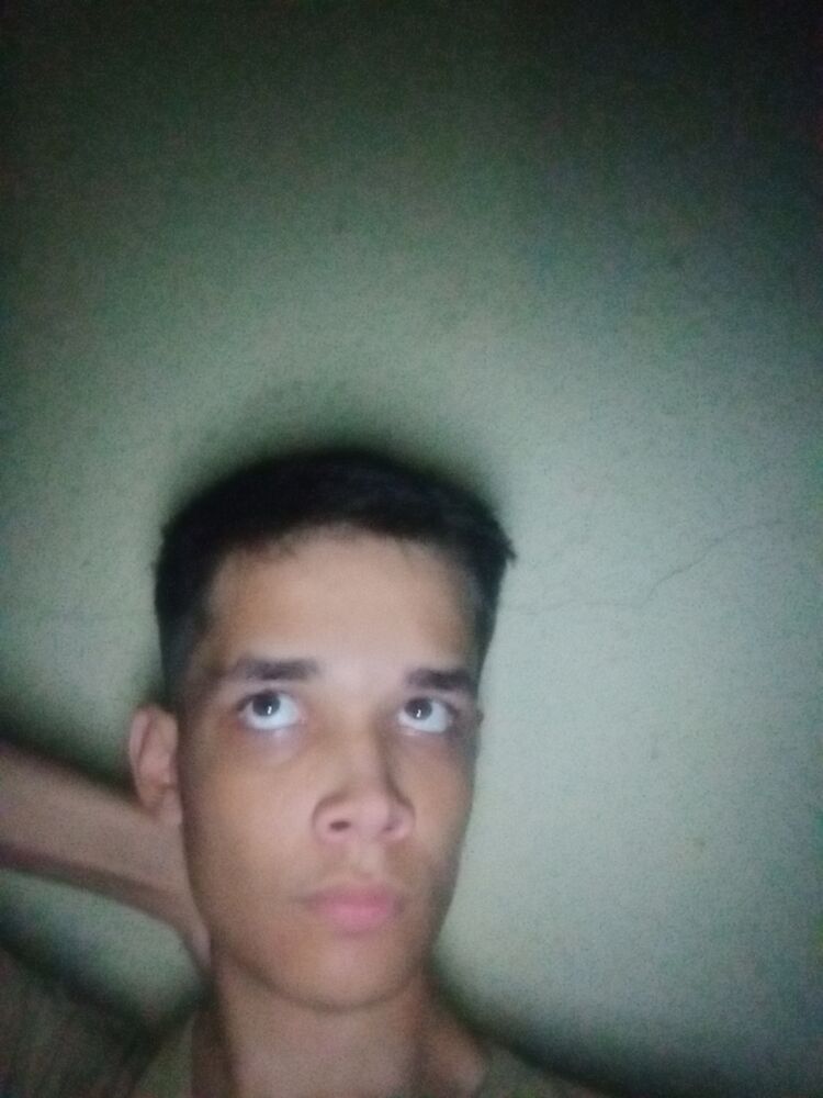  44122329  , 31 ,    