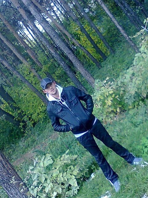  -,   , 37 ,   ,   