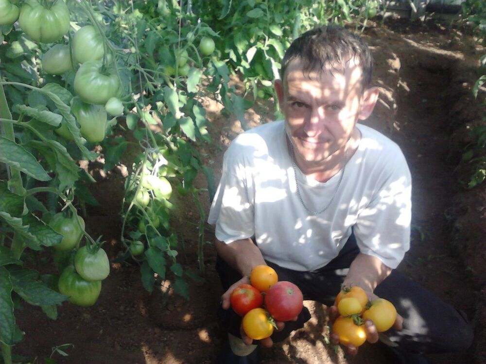  19024919  Aleks, 48 ,    