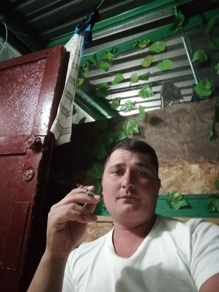  33355579  , 37 ,    