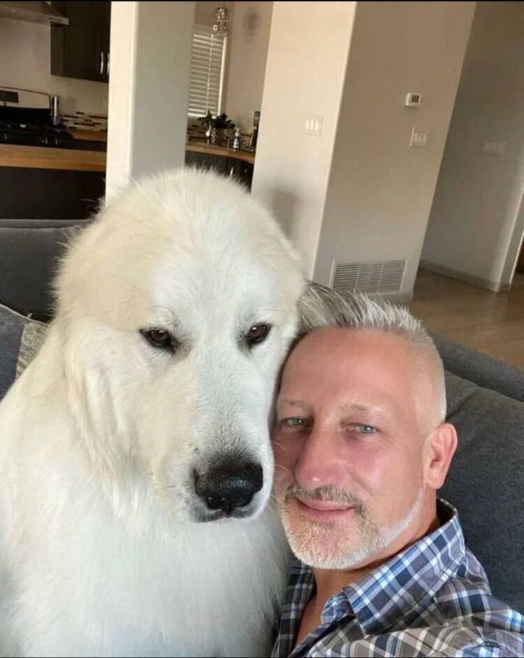  29892939  , 51 ,    -