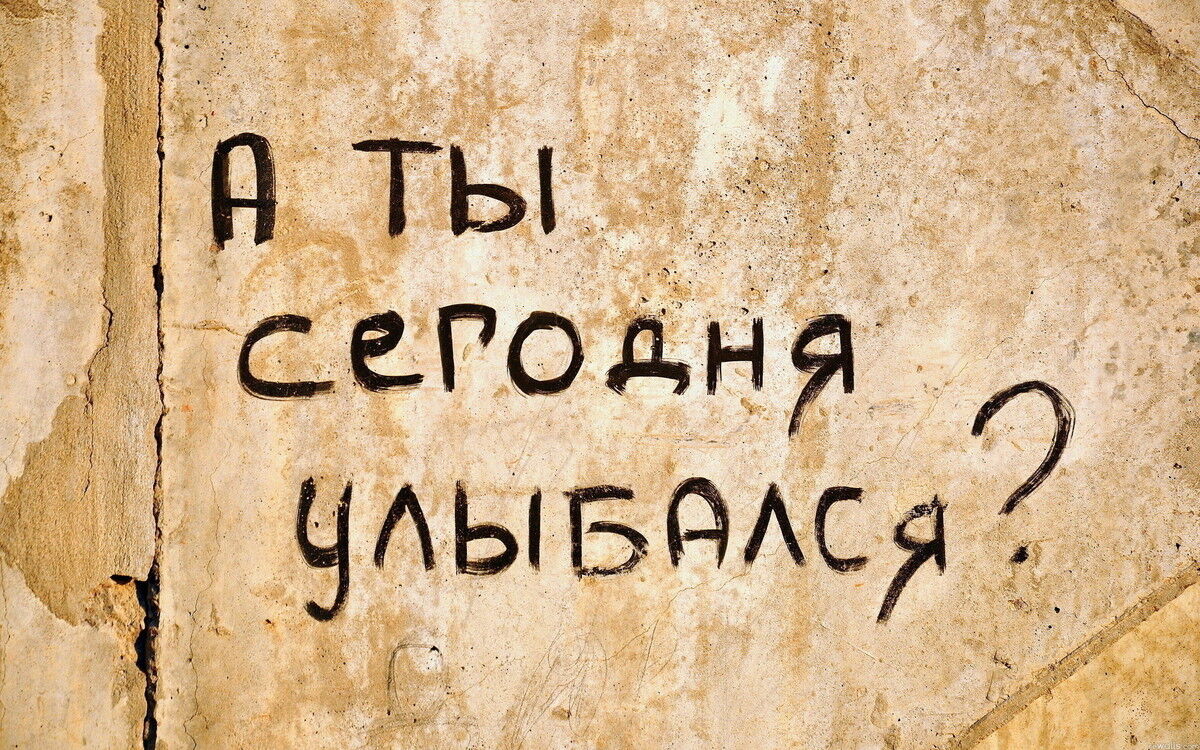  18452709  , 41 ,    -