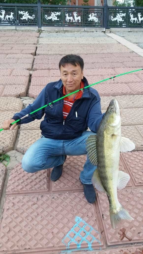 ���������� ������, ���� ������� �����, 56 ���, ������������ ��� ������, ����� � ���������, c�������� ���������