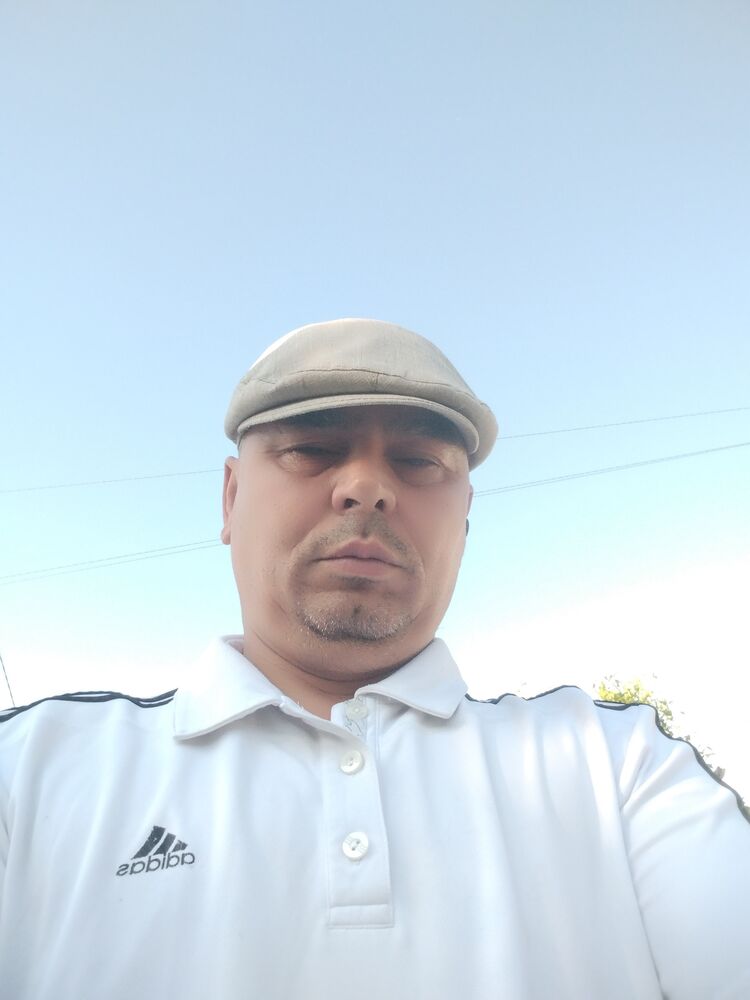  44595969  , 53 ,    