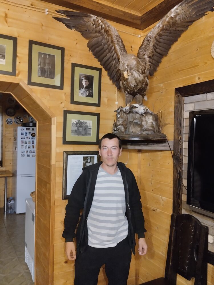 ���� 42751569 ������� ������, 31 ���, ���� ���������� � ���������