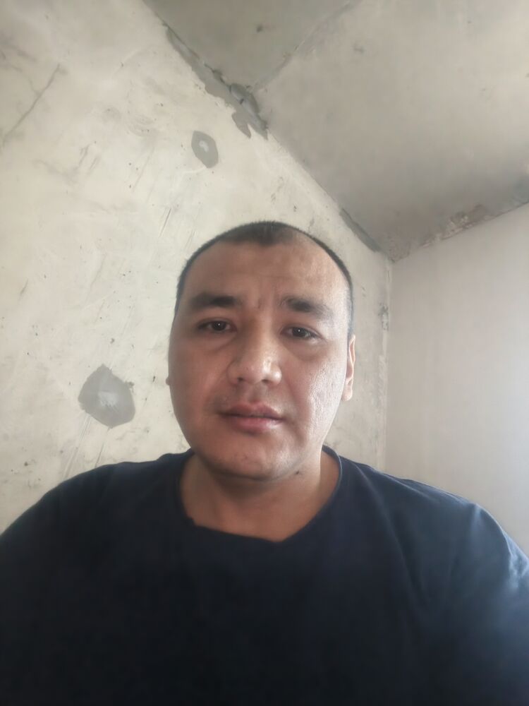 ���� 56058619 ������� Aleg, 35 ���, ���� ���������� � �����-����������