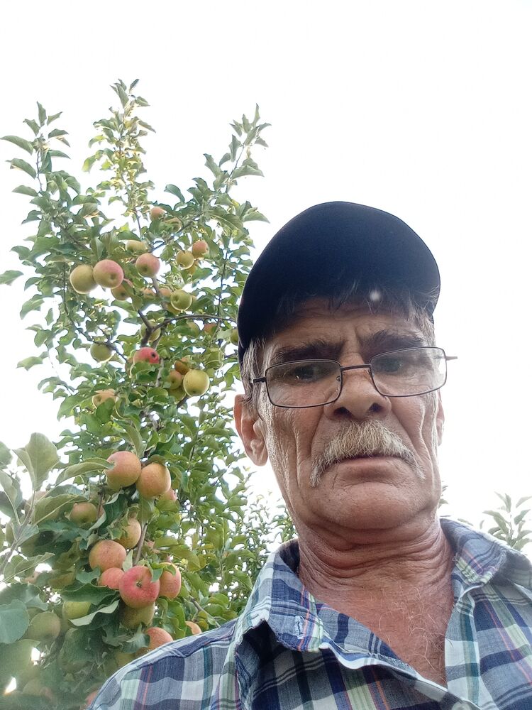 ���� 54261079 ������� �����, 57 ���, ���� ���������� � �������