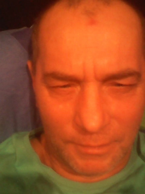  8347479  , 62 ,    