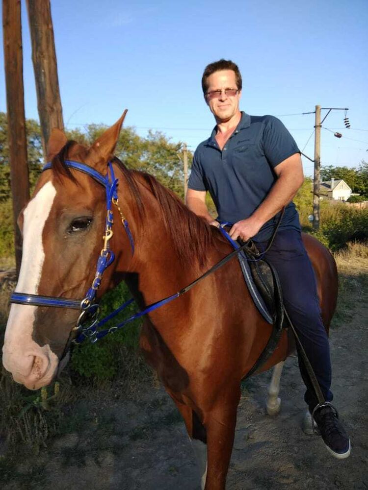 ���� 56209259 ������� ��������, 50 ���, ���� ���������� � �������-��-����