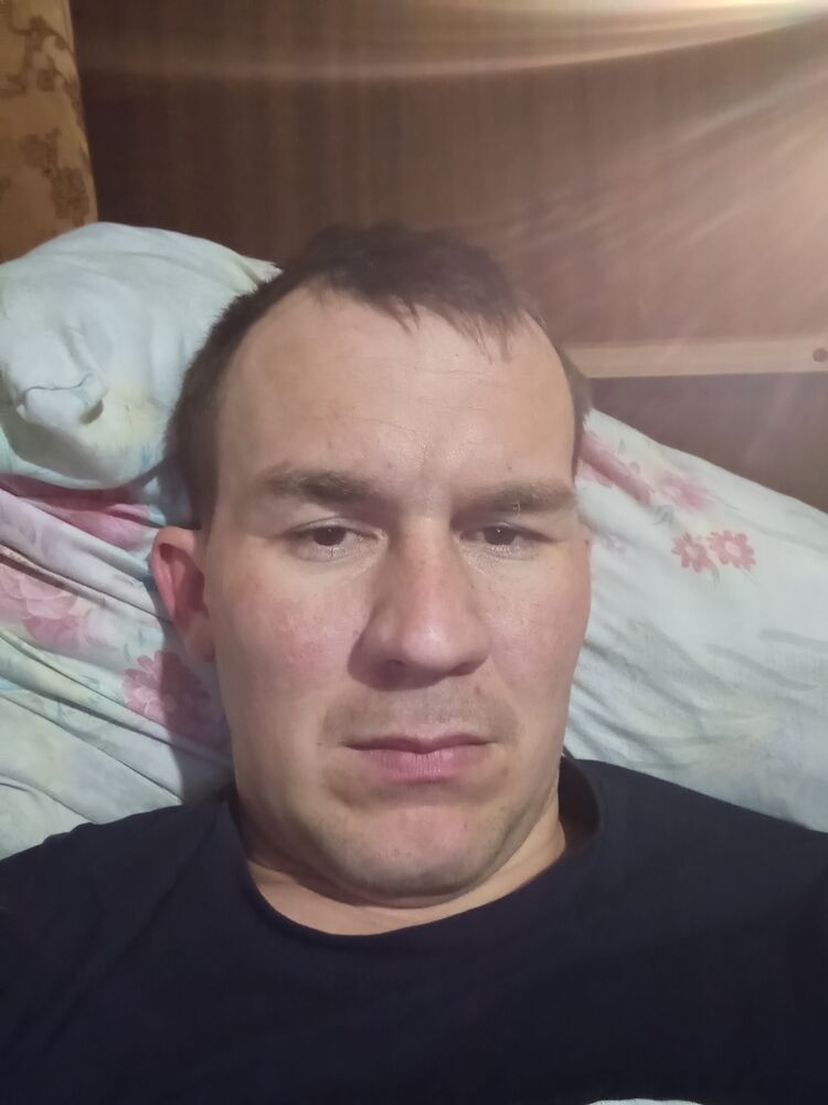  33194529  , 31 ,    