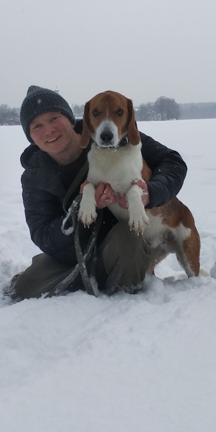 ���������� ������, ���� ������� ���������, 42 ����, ������������ ��� ������, ����� � ���������