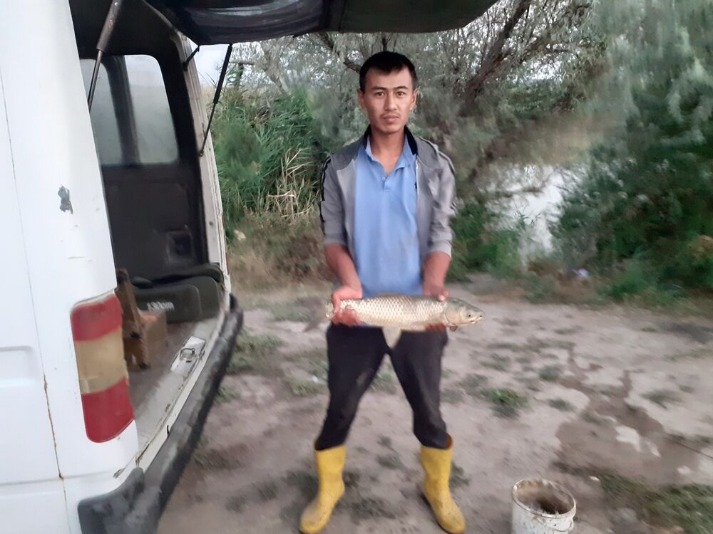 ���������� ������, ���� ������� ������, 37 ���, ������������ ��� ������, ����� � ���������, c�������� ���������