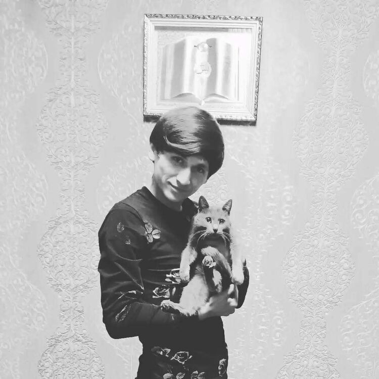 ���������� �������, ���� ������� Mahmud, 28 ���, ������������ ��� ������, ����� � ���������