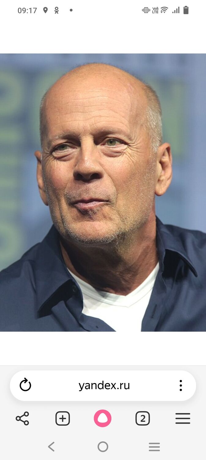 ���� 55486479 ������� �����, 48 ���, ���� ���������� � �������