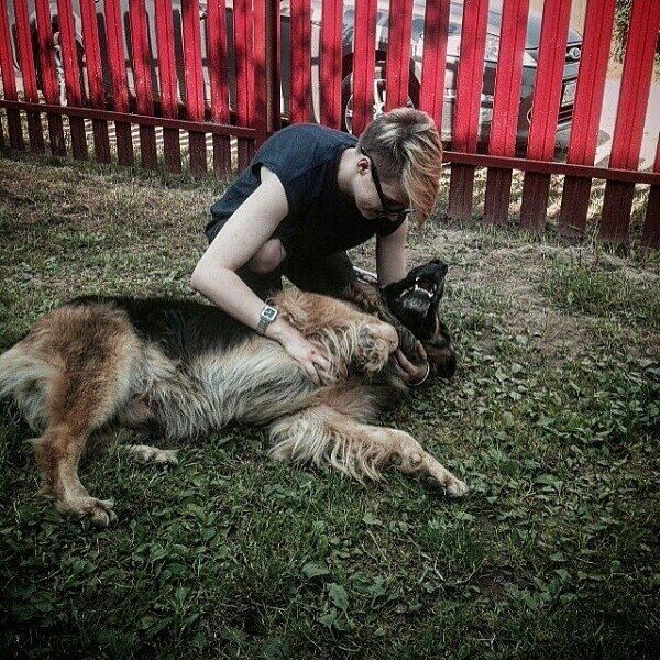 ���� 26087509 ������� ����, 27 ���, ���� ���������� � ������