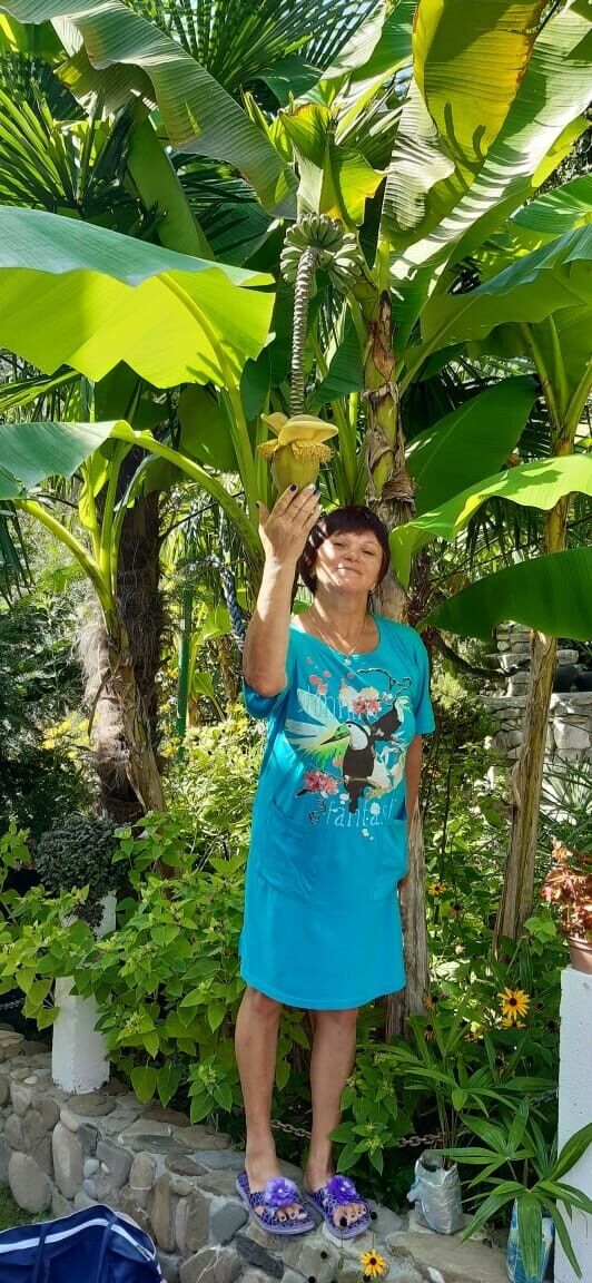  54297309  , 63 ,    --