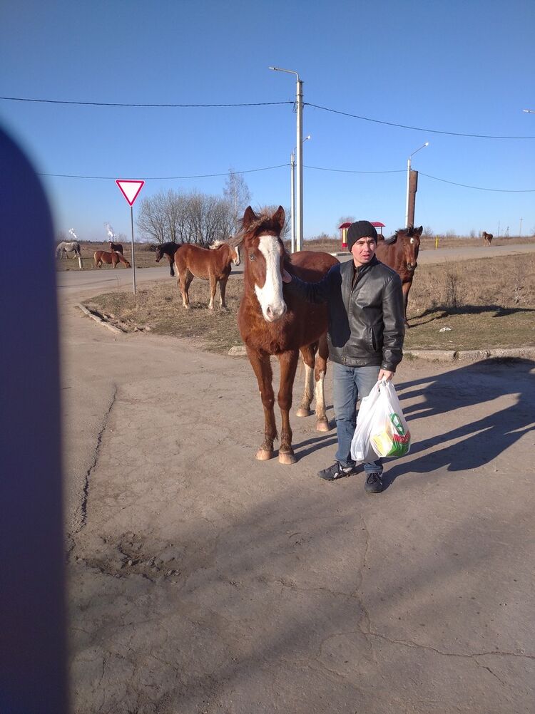 ���������� ����, ���� ������� �����, 33 ����, ������������ ��� ������, ����� � ���������, c�������� ���������