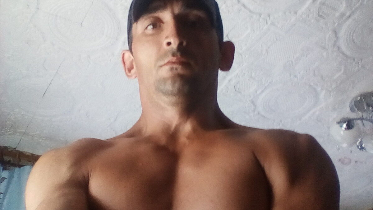  8162329  , 46 ,    
