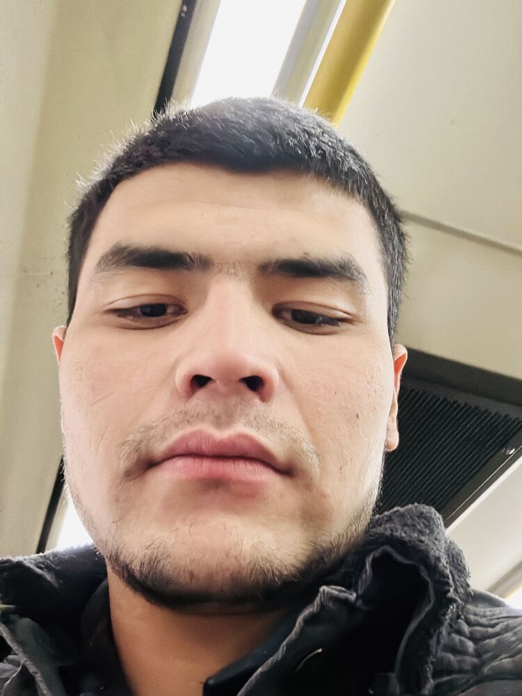 ���� 47319509 ������� ����, 32 ����, ���� ���������� � ������