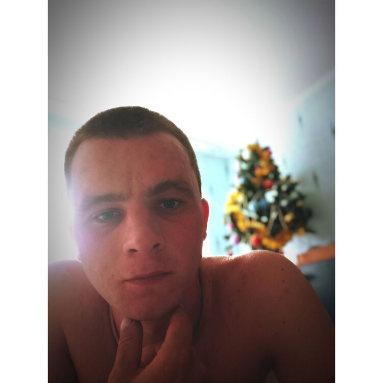  31147789  , 27 ,    