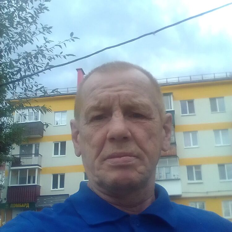  23549739  , 57 ,    