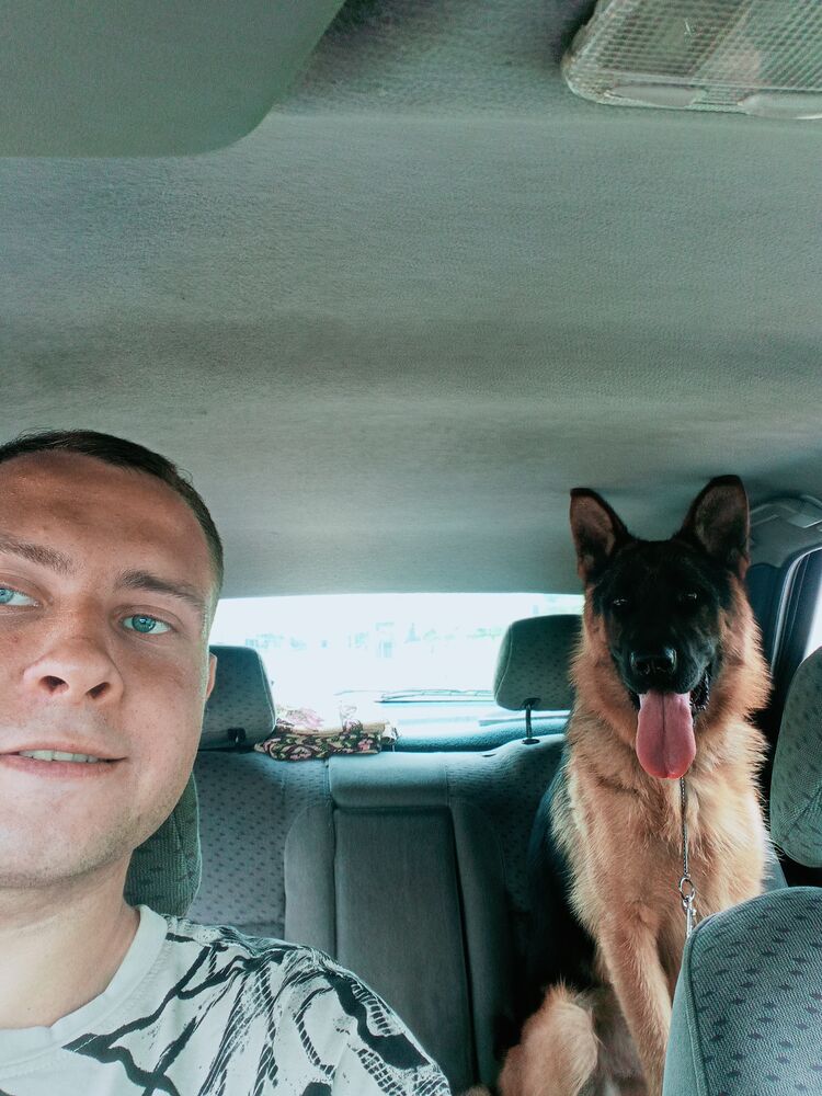 ���� 54203309 ������� ����, 29 ���, ���� ���������� � ������