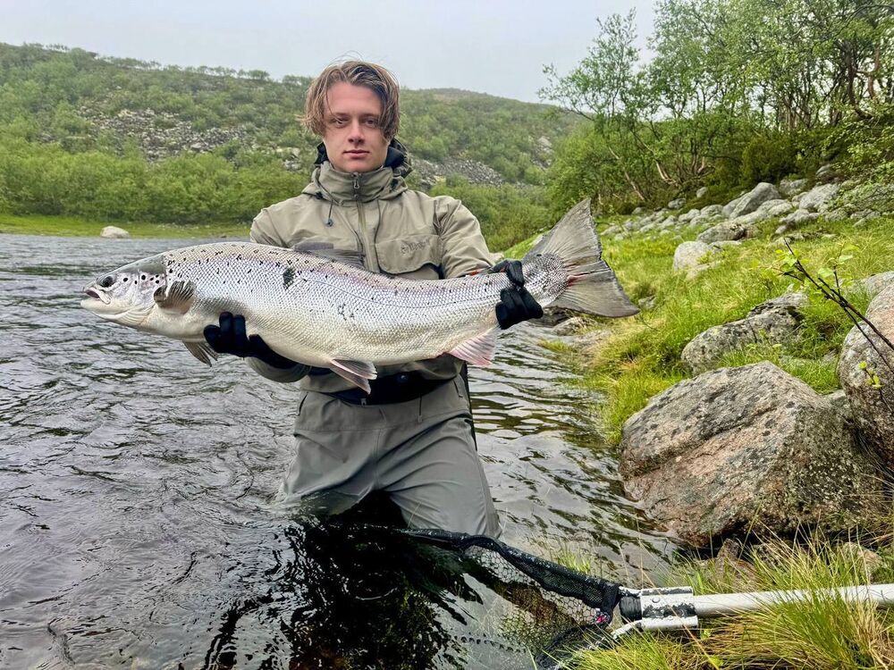 ���� 55906989 ����� �����, 25 ���, ���� ���������� � ������