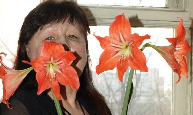 ���� 19294339 ������� ����, 58 ���, ���� ���������� � �������������