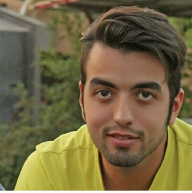  24535399  Roham, 33 ,    