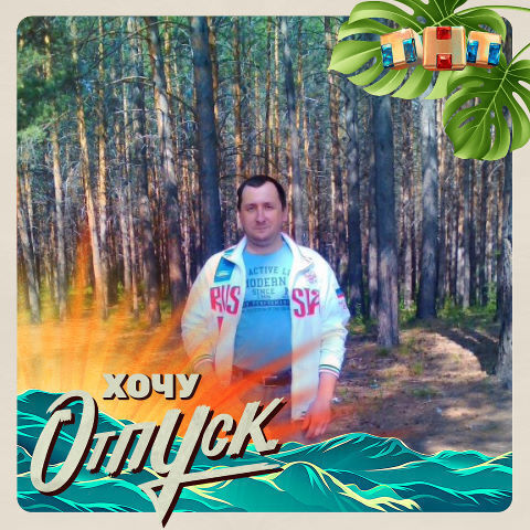 ���� 32993969 ������� Vit, 44 ����, ���� ���������� � ������